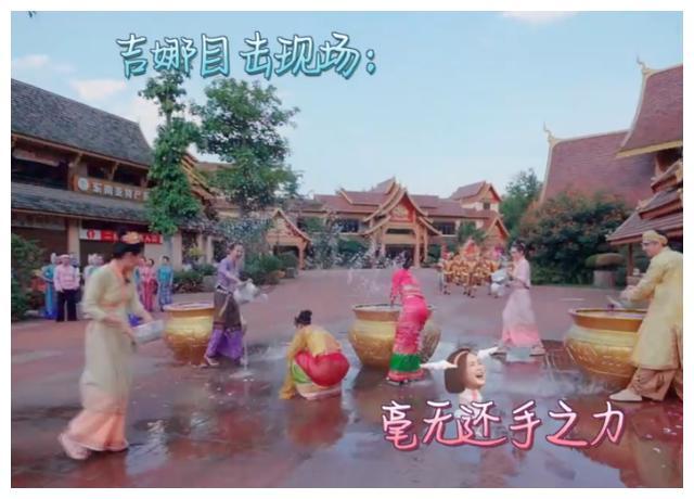救援小孔雀